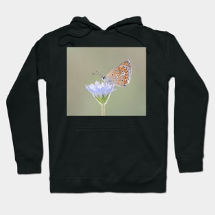 Brown Argus Butterfly on a Flower Hoodie